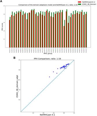 Improved prediction of MHC-peptide binding using protein language models